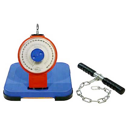 背筋力計 | F-084 | 稲尾レントオール